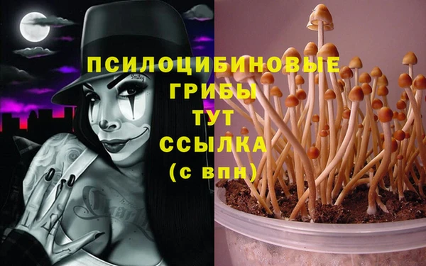 таблы Козловка