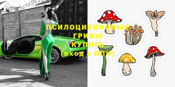 таблы Козловка