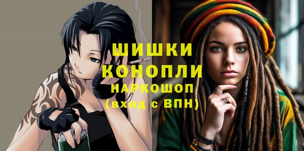 гидропоника Кодинск