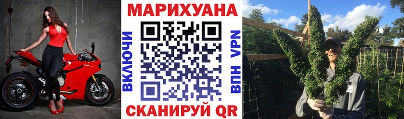Купить  Канск  Бошки марихуана семена 